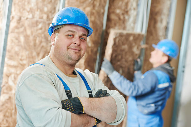 Best Energy Efficiency Solutions in Palmetto Estates, FL